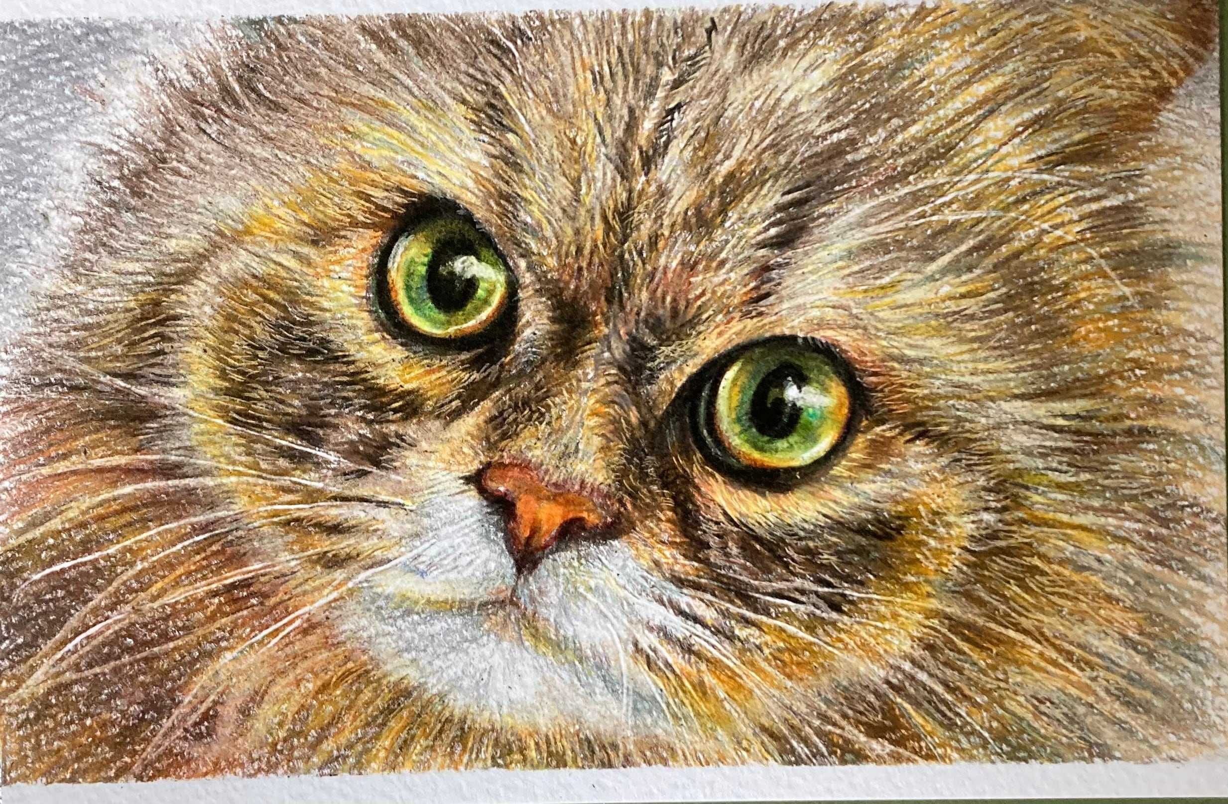 オーダーメイド色鉛筆画(A4サイズ) | ペットの肖像画屋さん