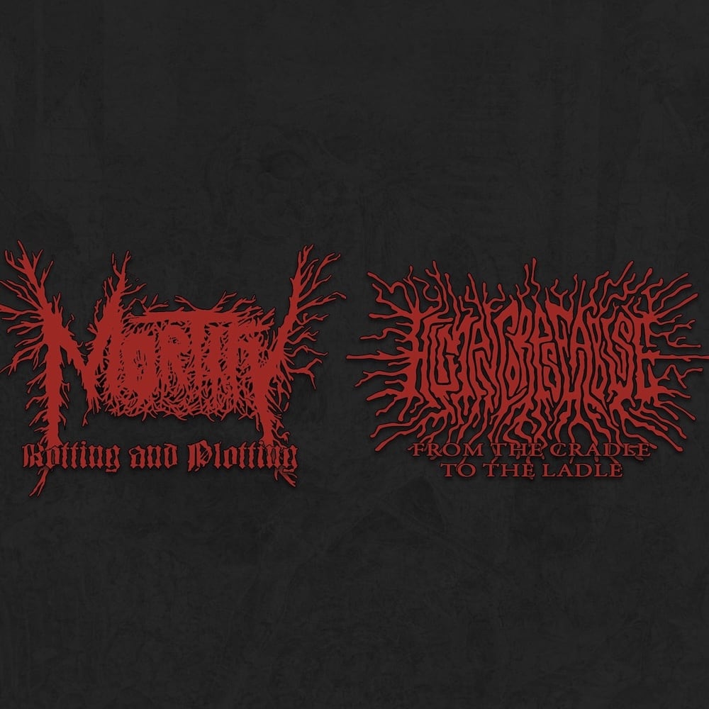 新入荷】日本脳炎 / HONG KONG CAFE CD | RECORD SHOP MISERY