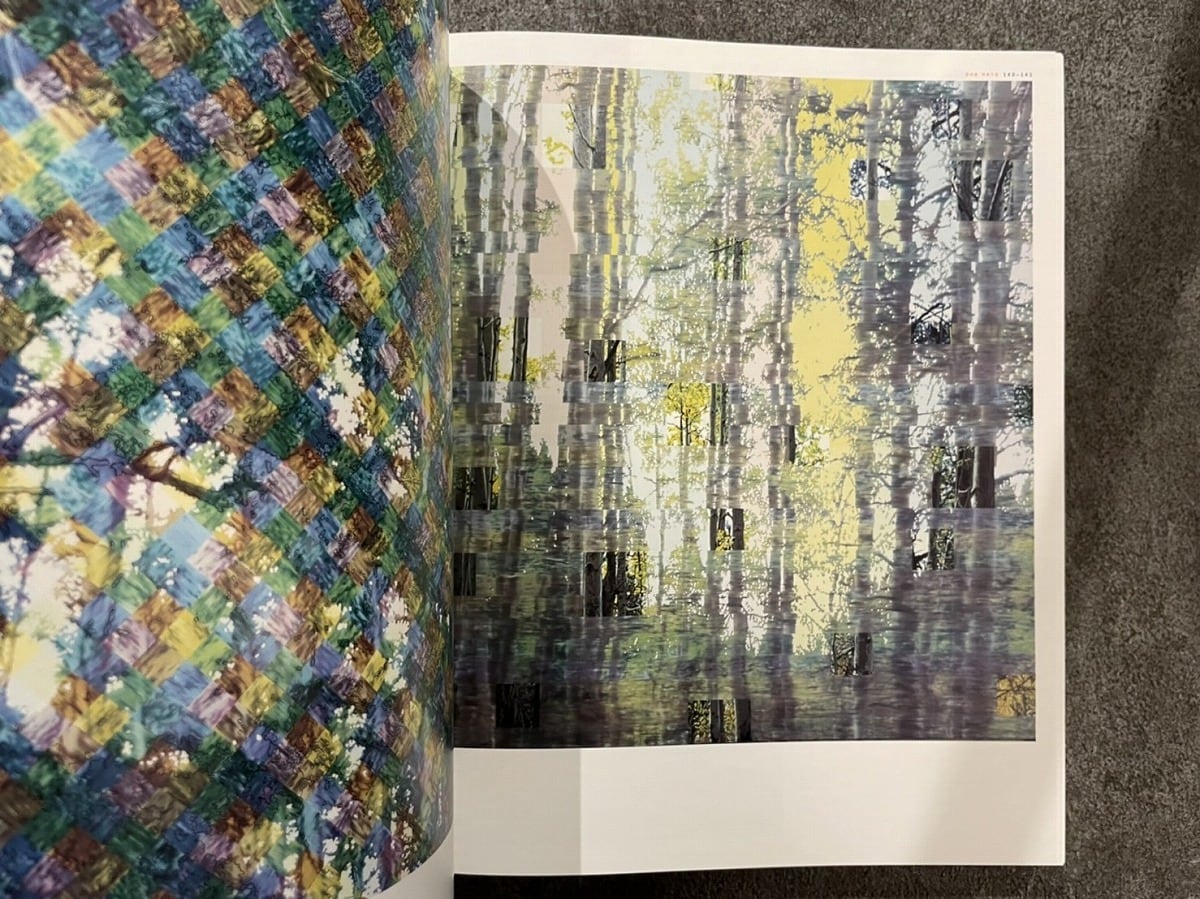 VA460】Vitamin P: New Perspectives in Painting /visual book