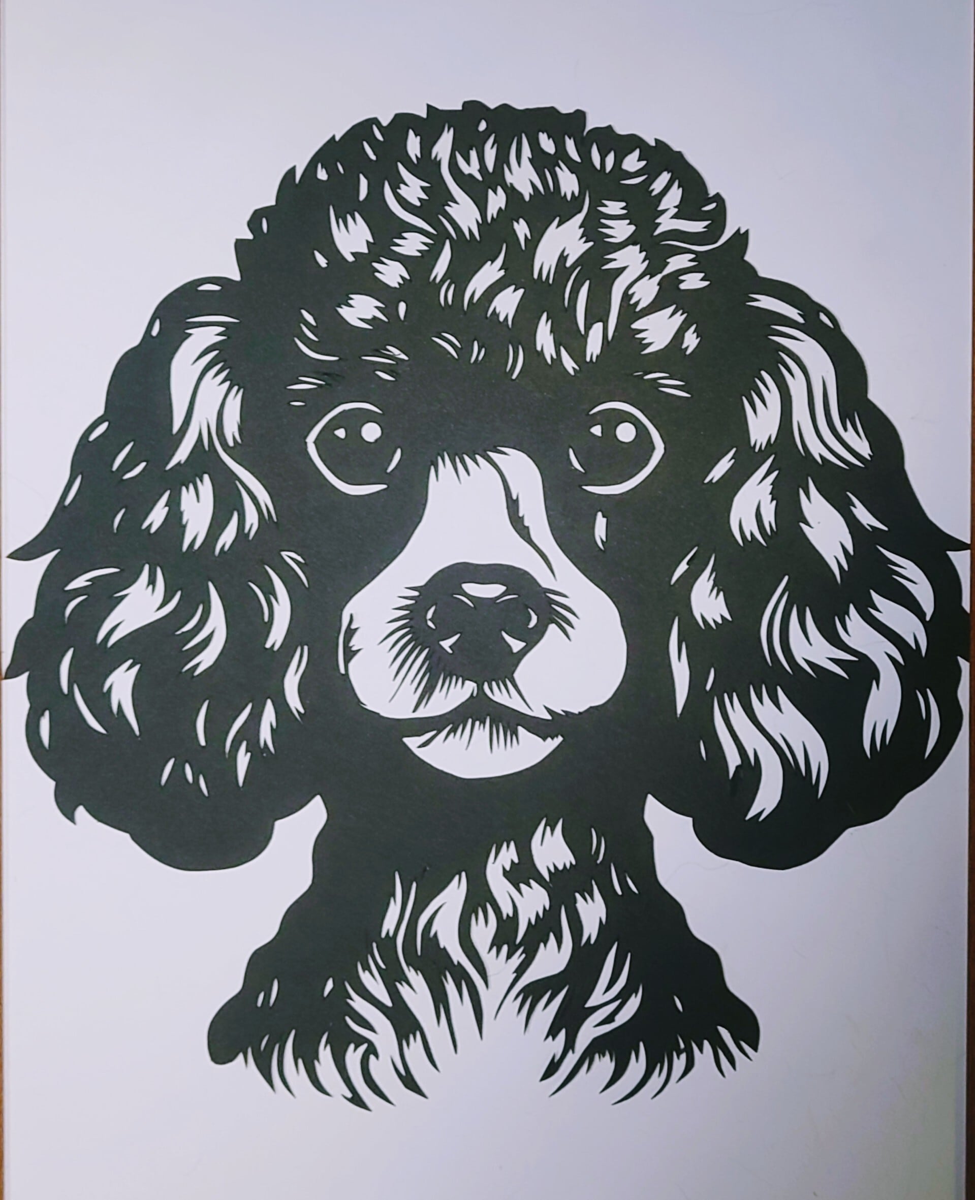 0e1ff72541002e24812d686276c5ab