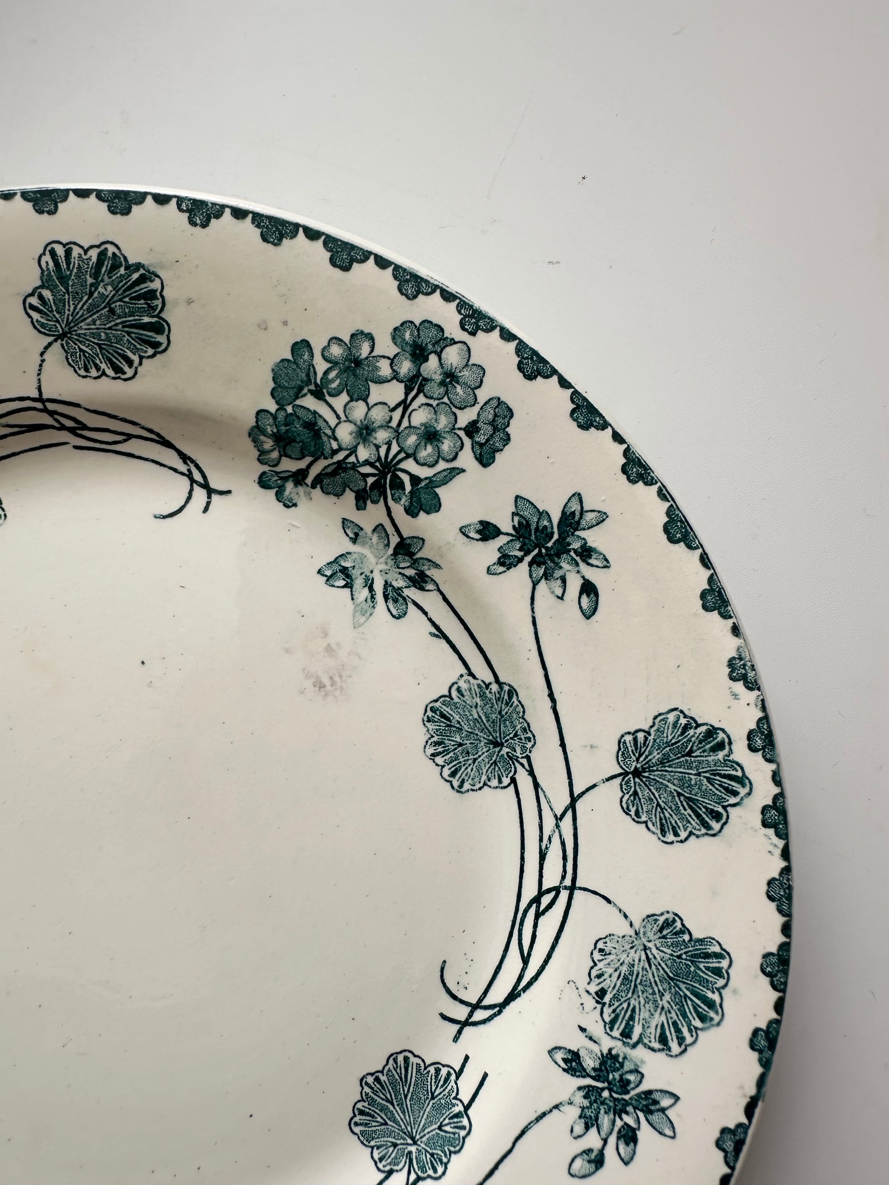 sarreguemines サルグミンヌ ゼラニウム フランス アンティーク