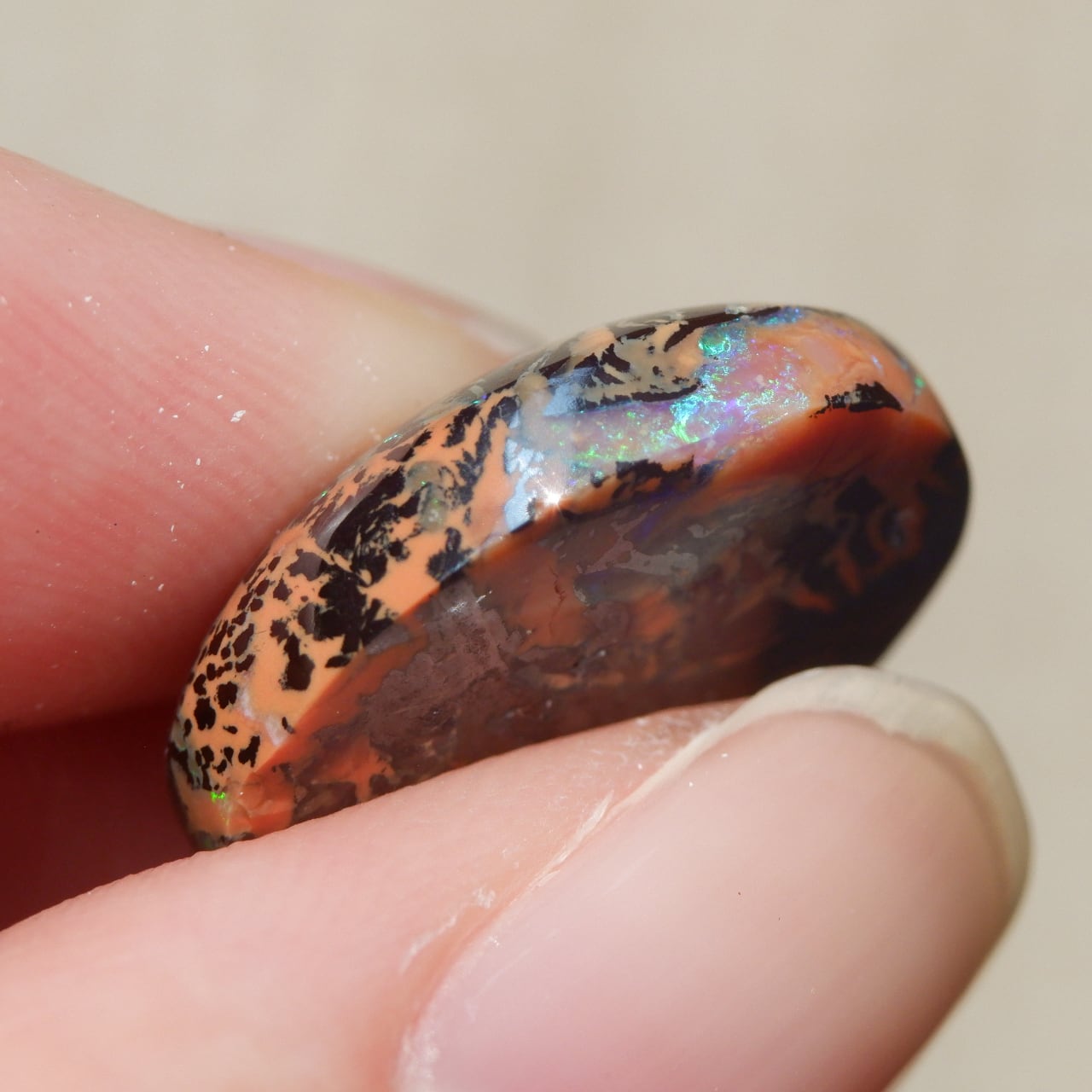 ピクチャーオパール 20215AP54 | 洋灯舎