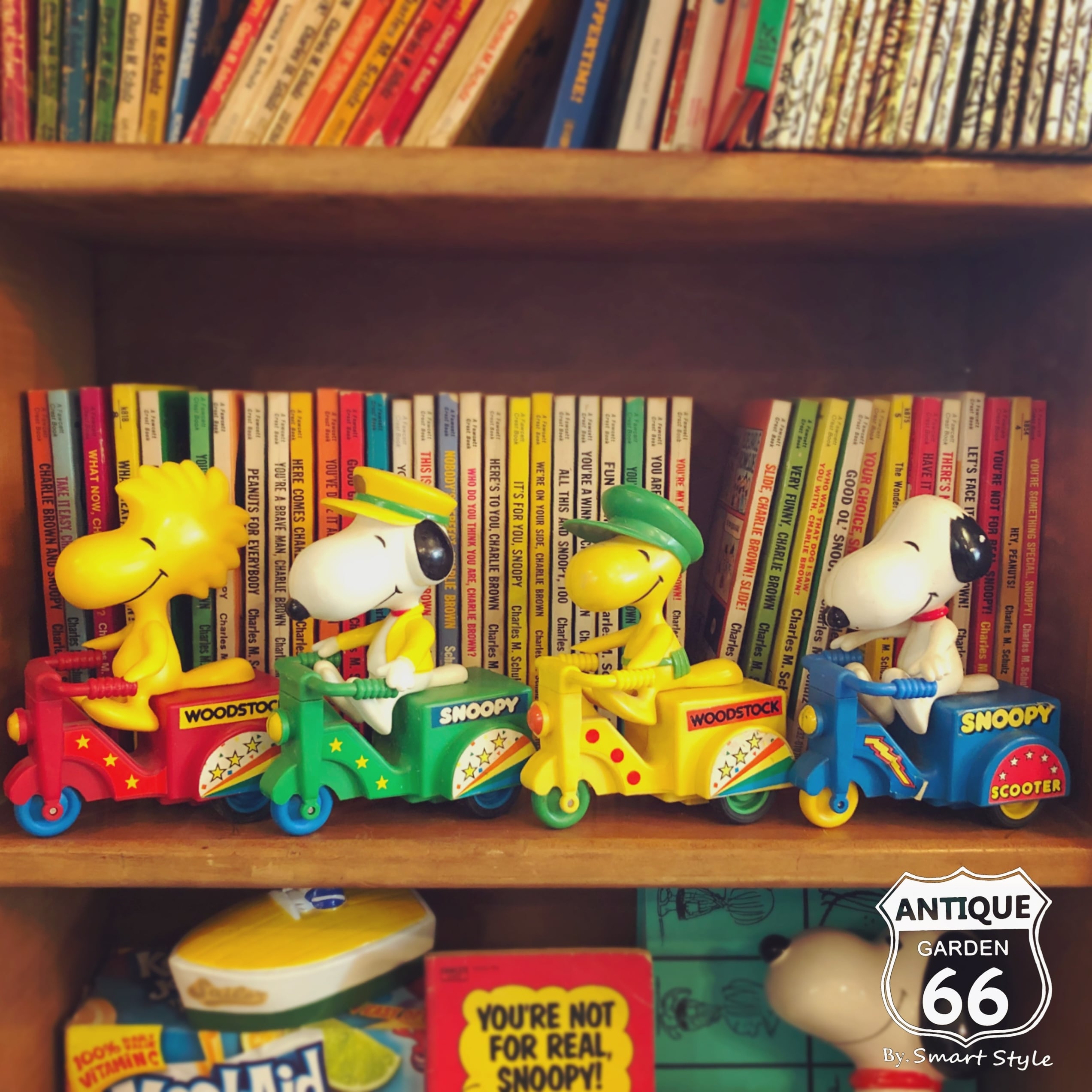 207fc9254c1e2cf61883c3aa64dd85