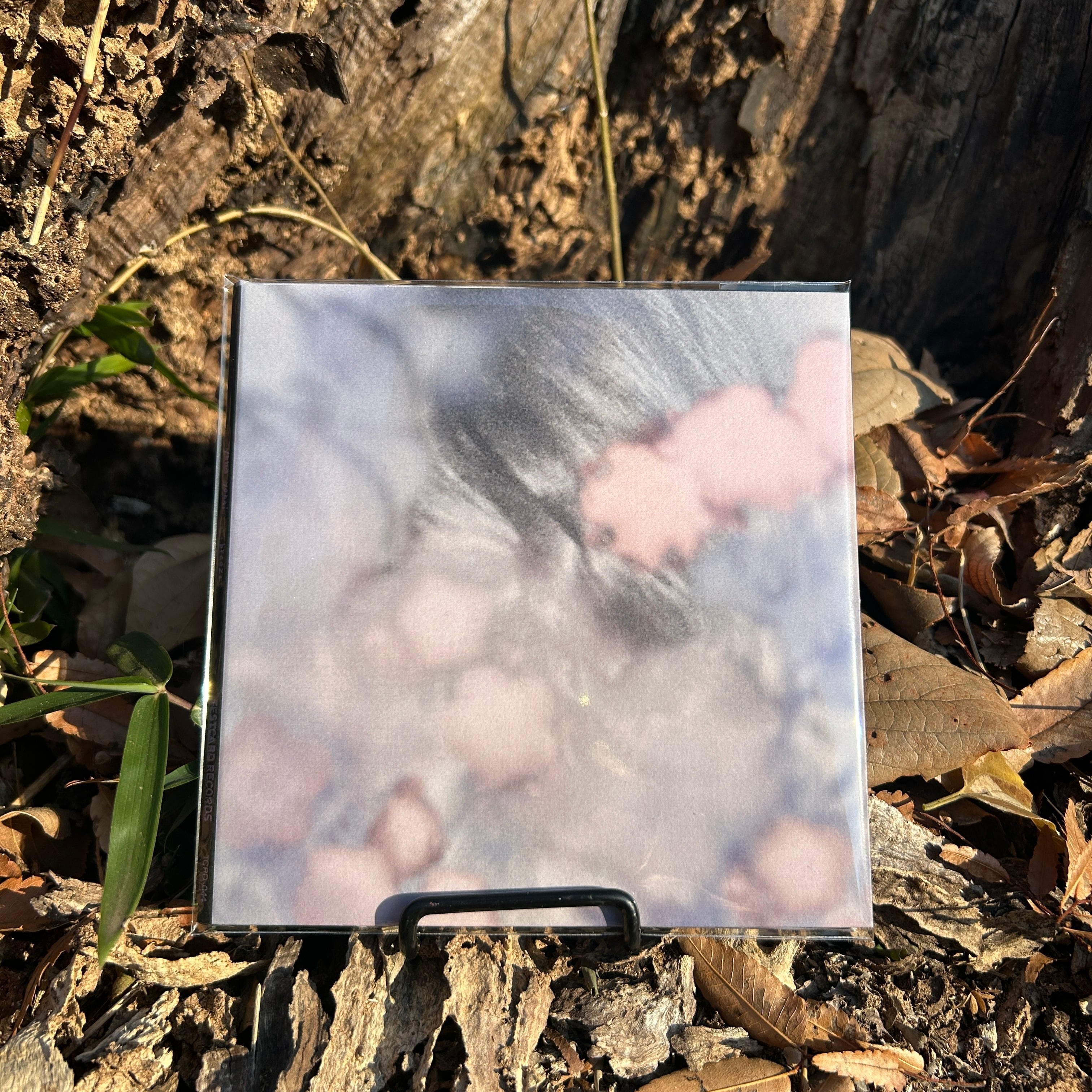 死んだ僕の彼女 / ixtab (CD) | TESTCARD RECORDS