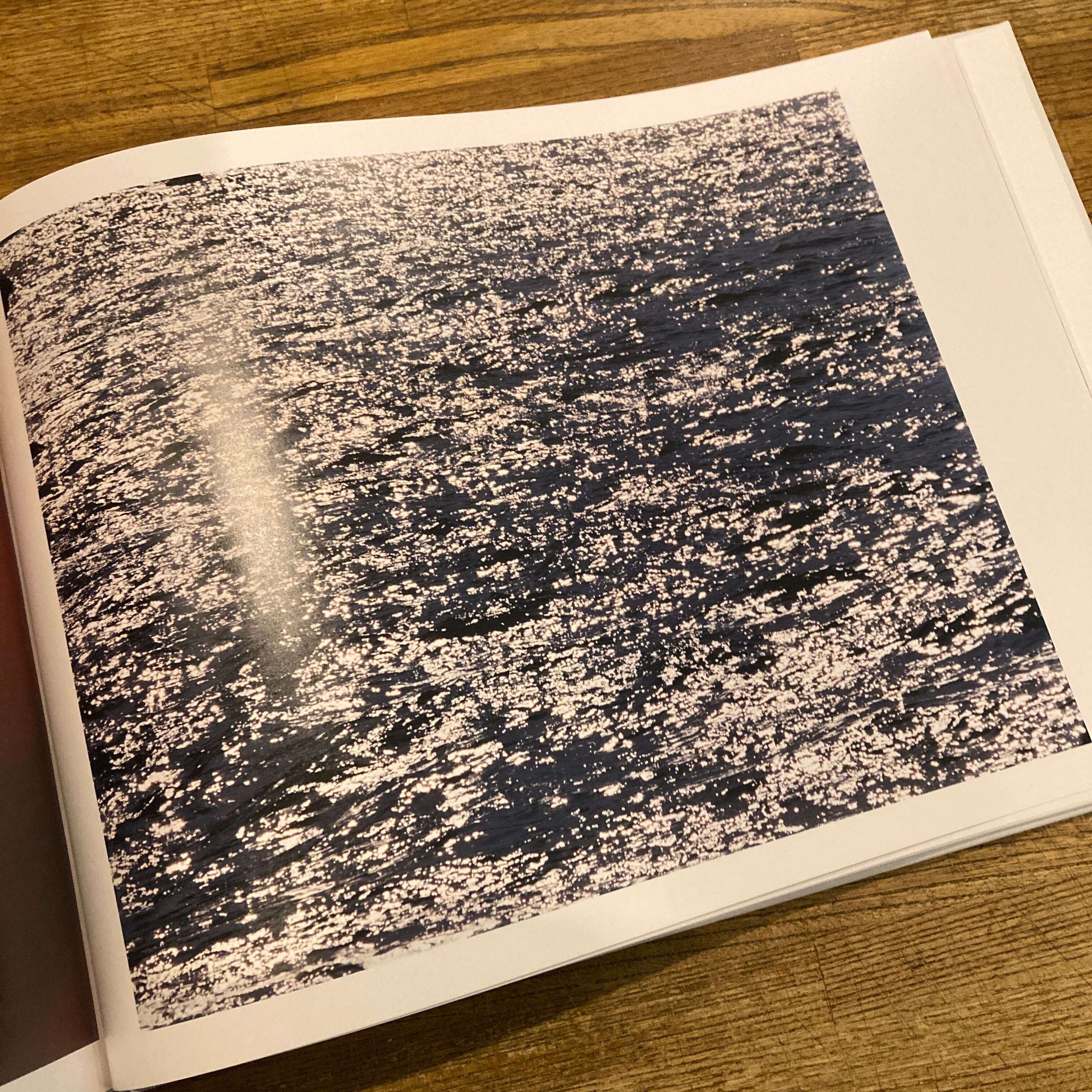 そこにすわろうとおもう / 大橋仁 | 百年