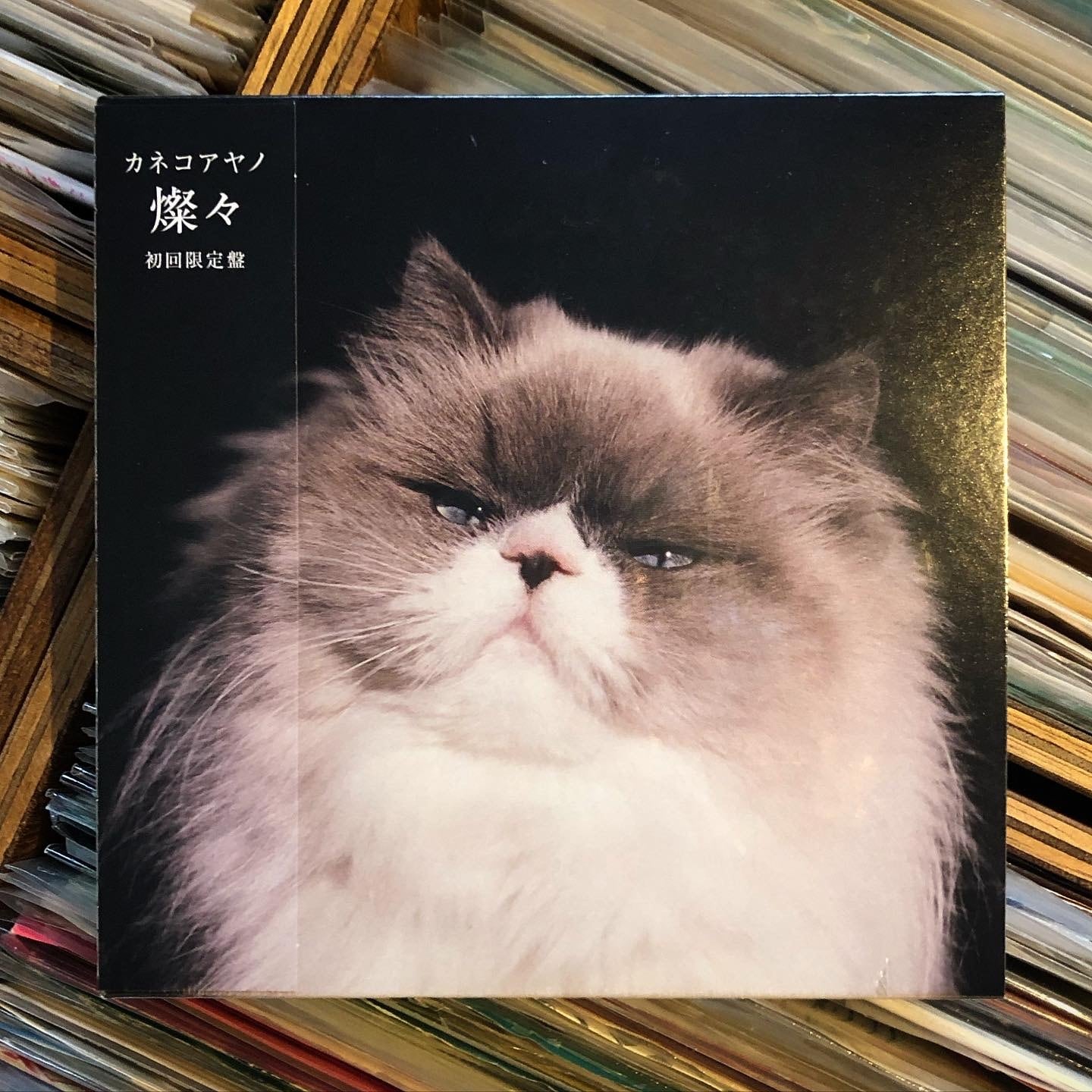 カネコアヤノ / 燦々 ［初回限定盤 CD+DVD 新品］ | September Records