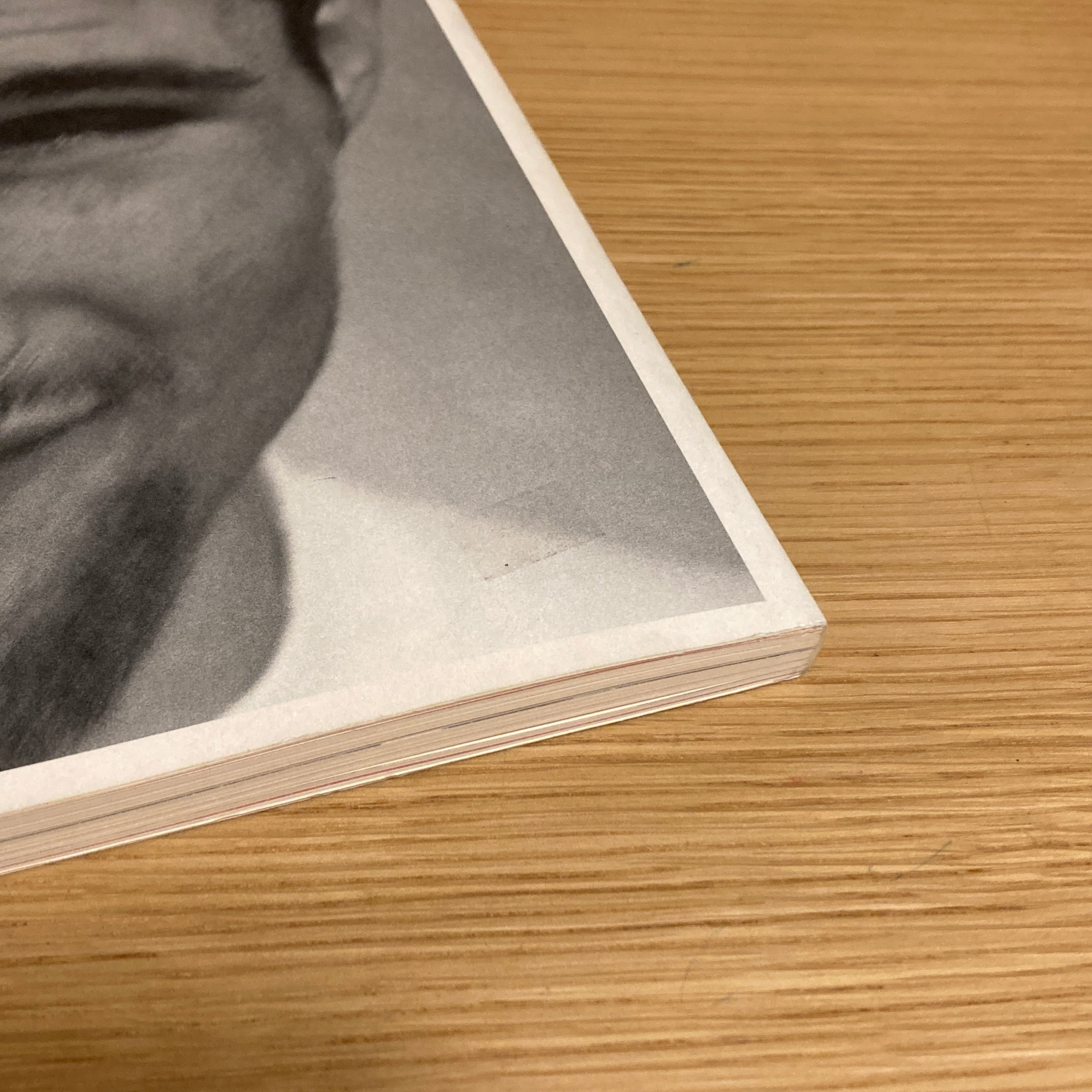 The Andy Book / Bruce Weber ブルース・ウェーバー | 百年