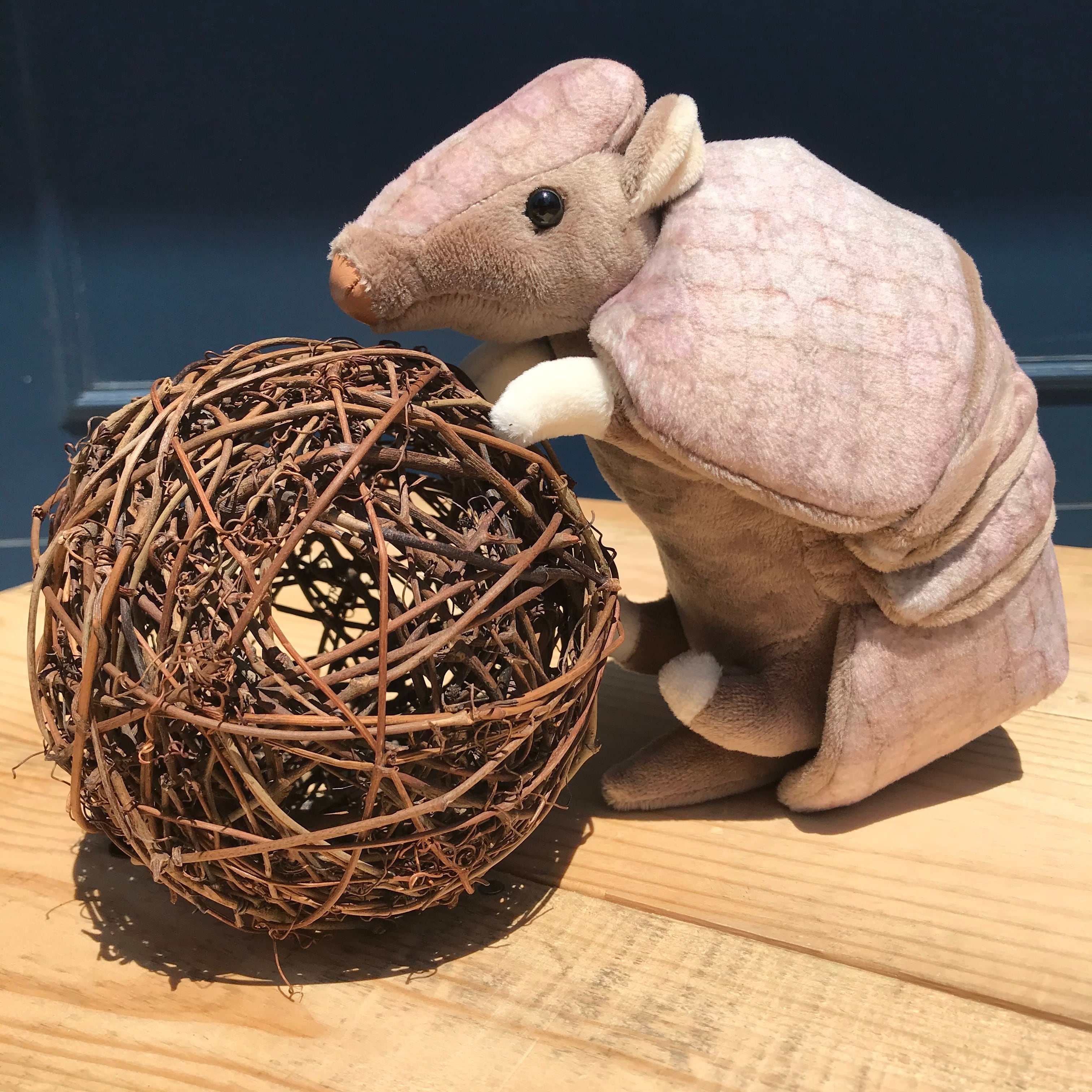 a88a31a6372b873ecd4dea7bd41e82