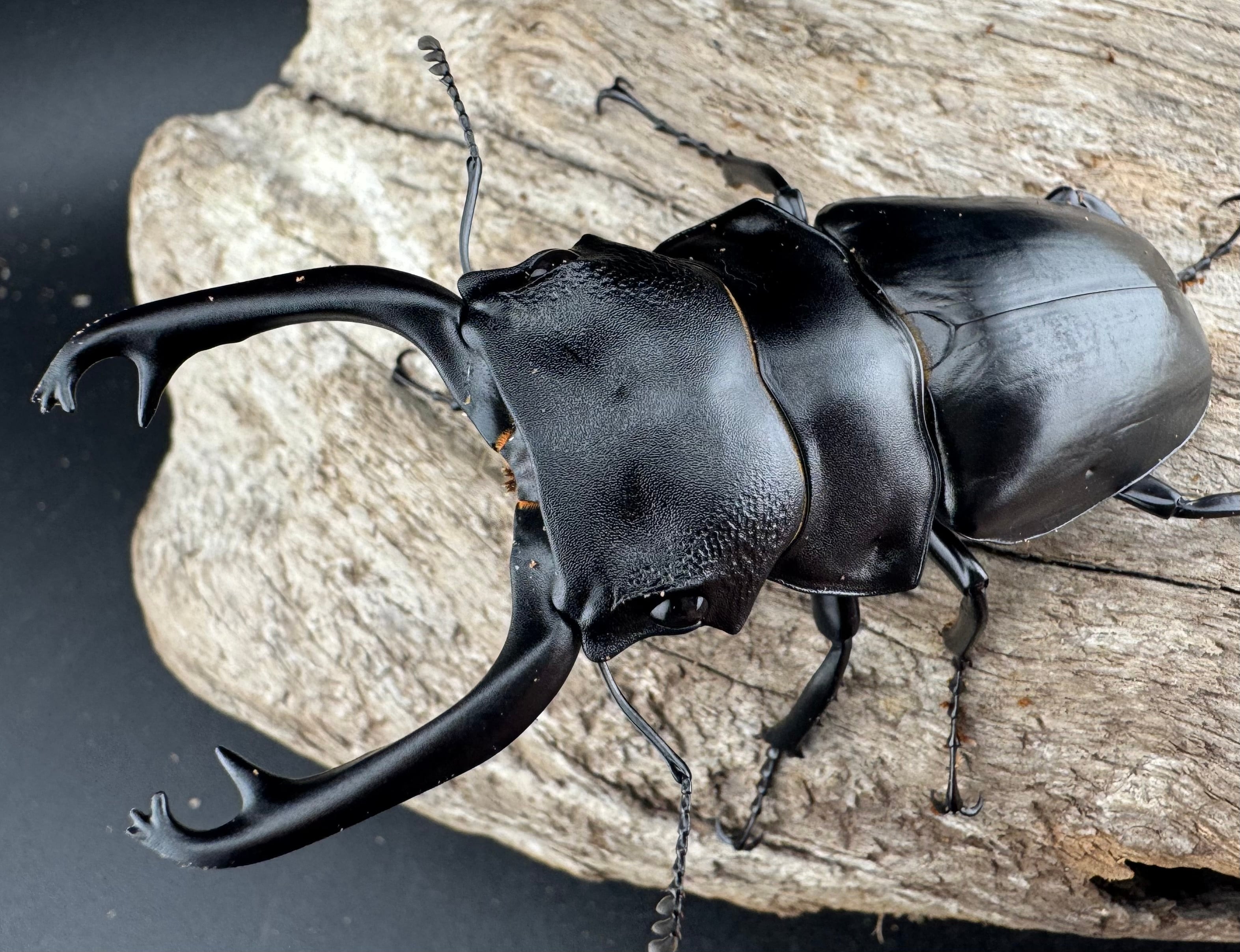 ac461640589fb1d95cf856a31bdd2e