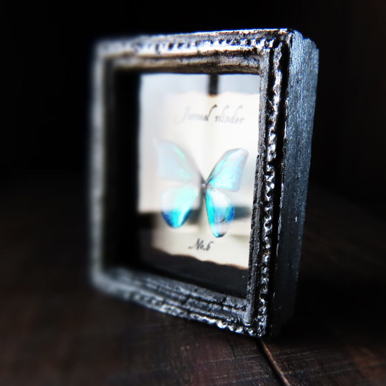 宝石蝶標本［No.6］ | ﾋﾞｬｸﾑ ｾｲｻｸｼｮ