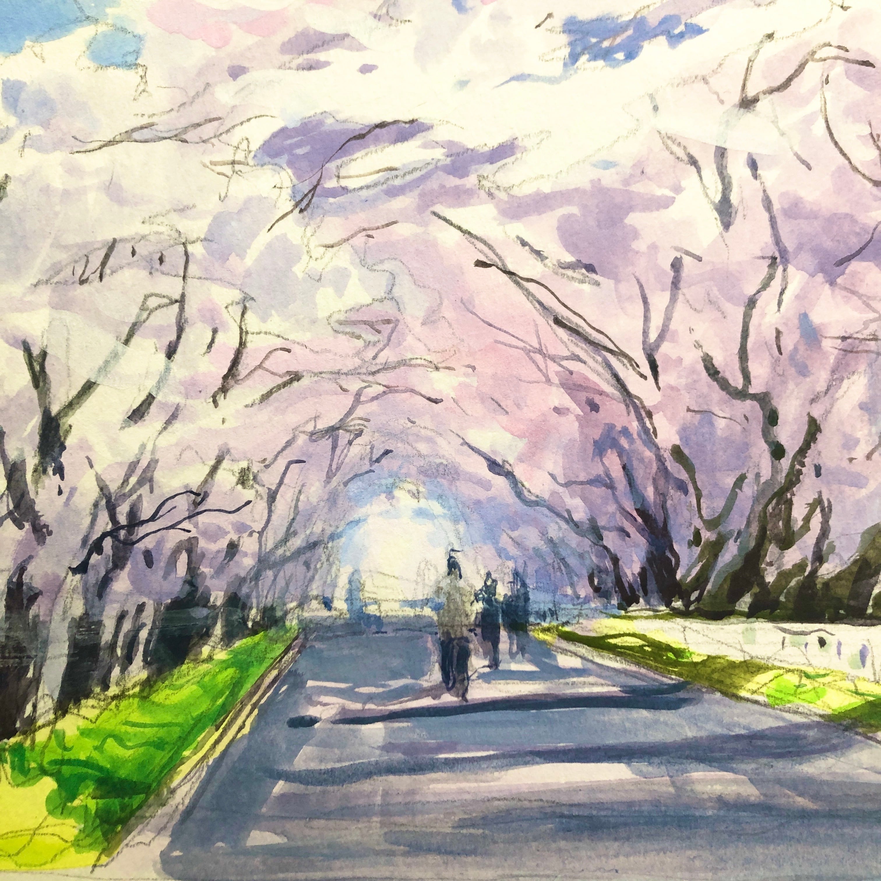 ☆後払い決済OK！ネット限定販売！2025年新作水彩画【新品額付き】桜