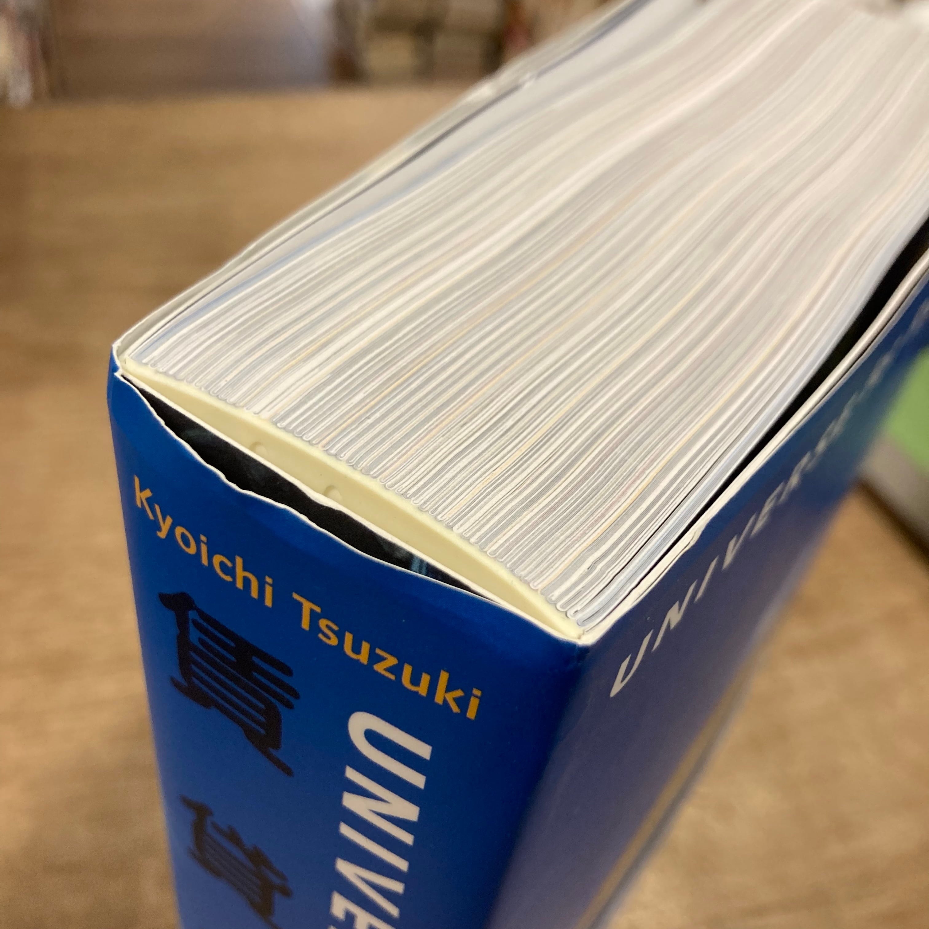 賃貸宇宙 UNIVERSE for RENT / 都築響一 | 百年