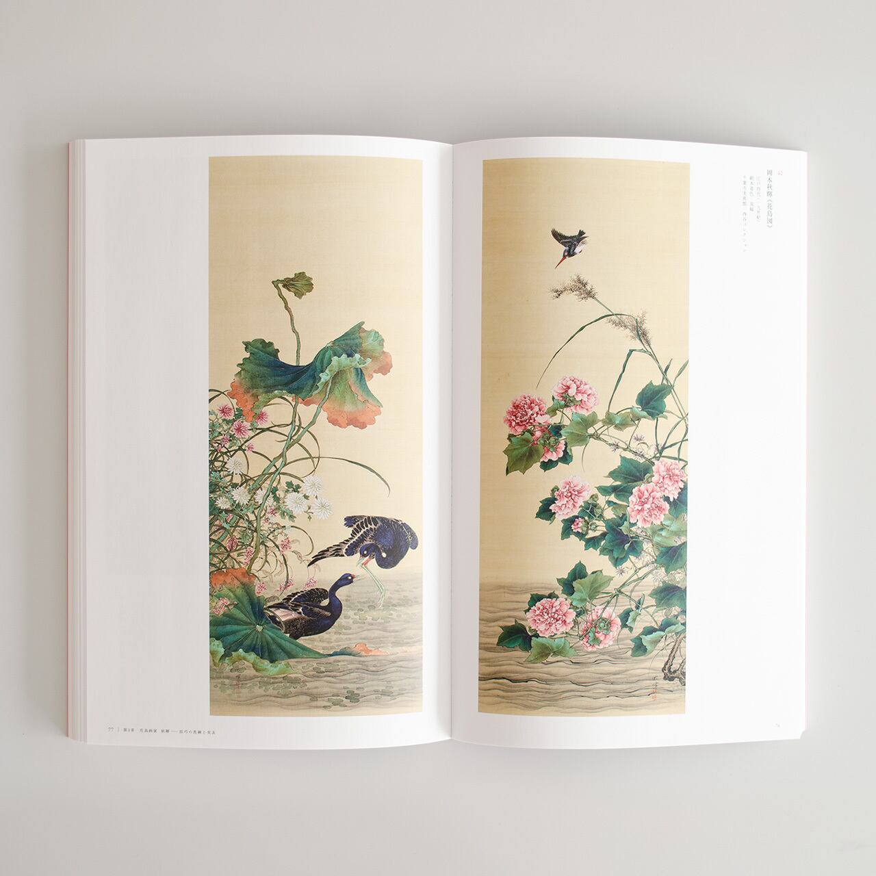 花鳥画の世界 花鳥画の世界/全集セット 全11巻 学研発行 全