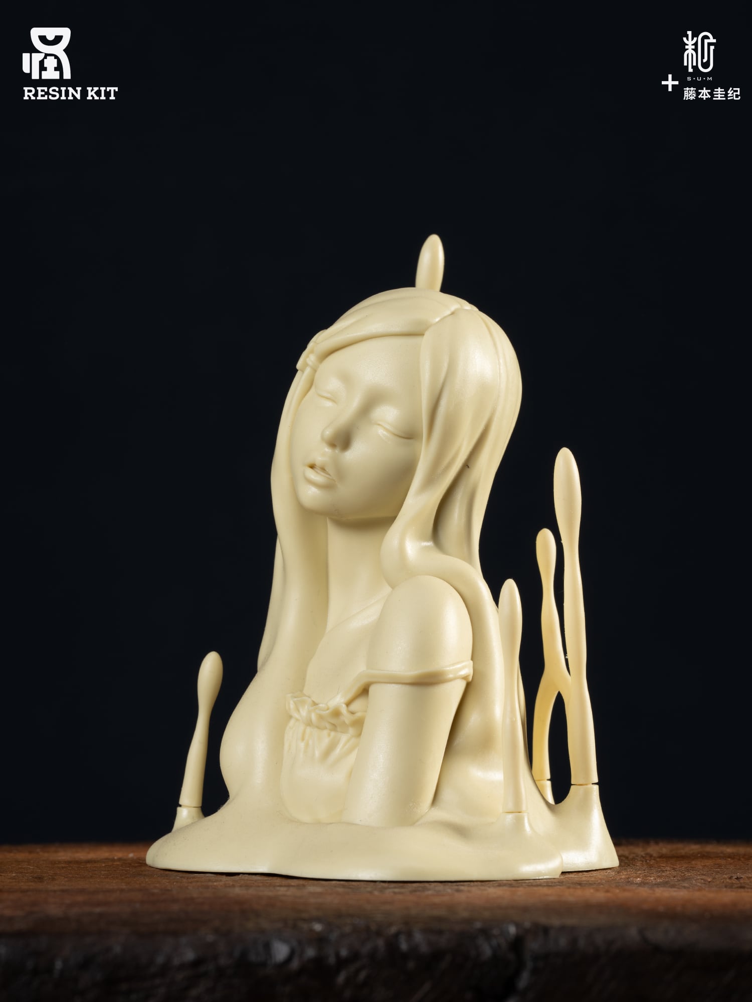 究極造形 ガレージキット第2弾 全10種セット | sumart