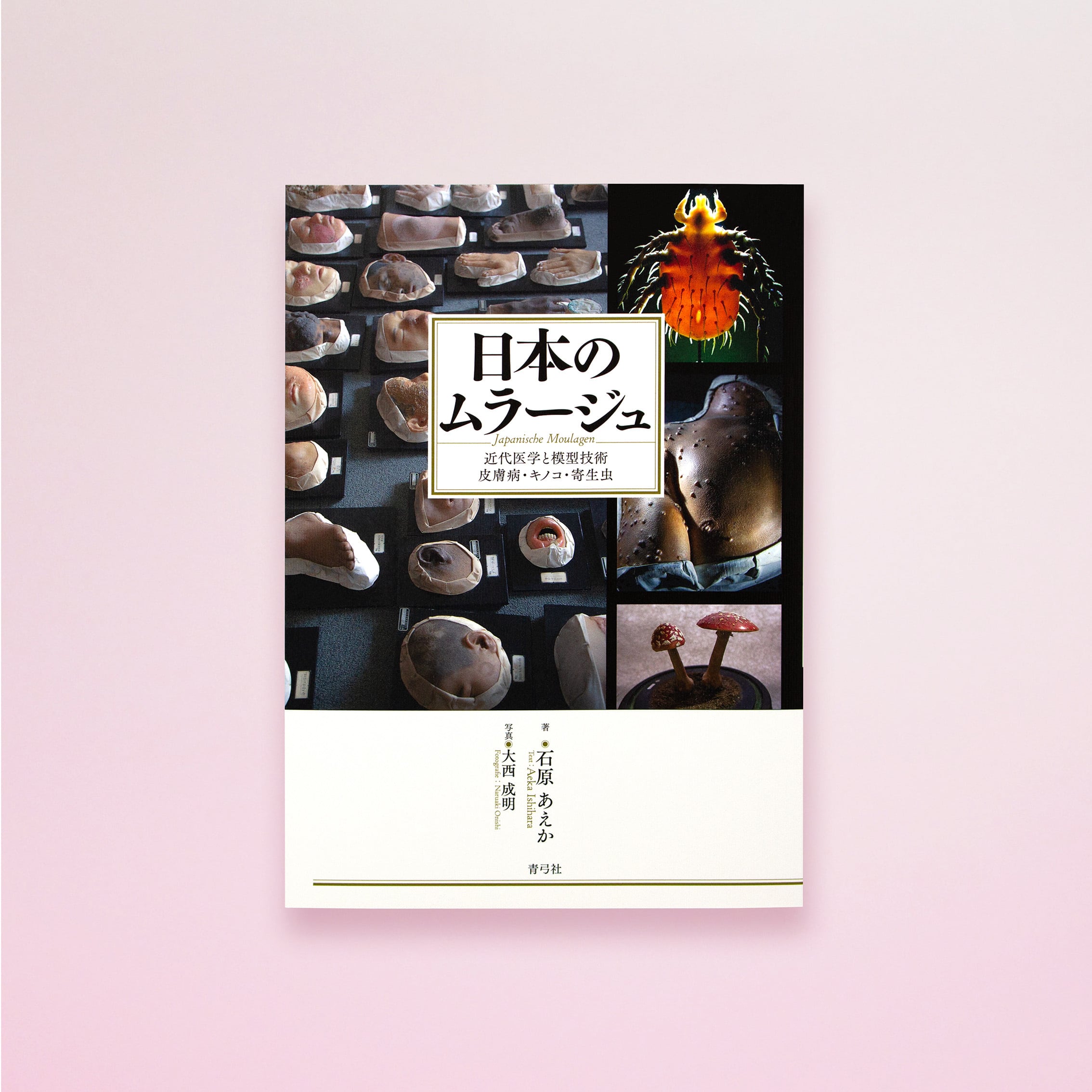 日本のムラージュ 近代医学と模型技術 皮膚病・キノコ・寄生虫 | 目黒