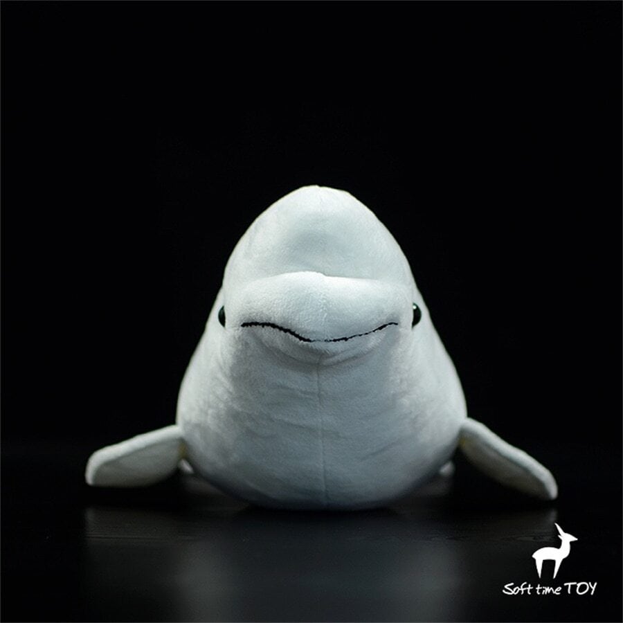 ☆シロイルカ☆ ぬいぐるみ・ | ぬいぐるみ専門店 くろにゃん