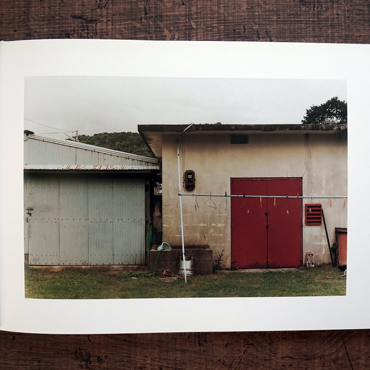 清野賀子写真集『THE SIGN OF LIFE』 | タイムカプセル