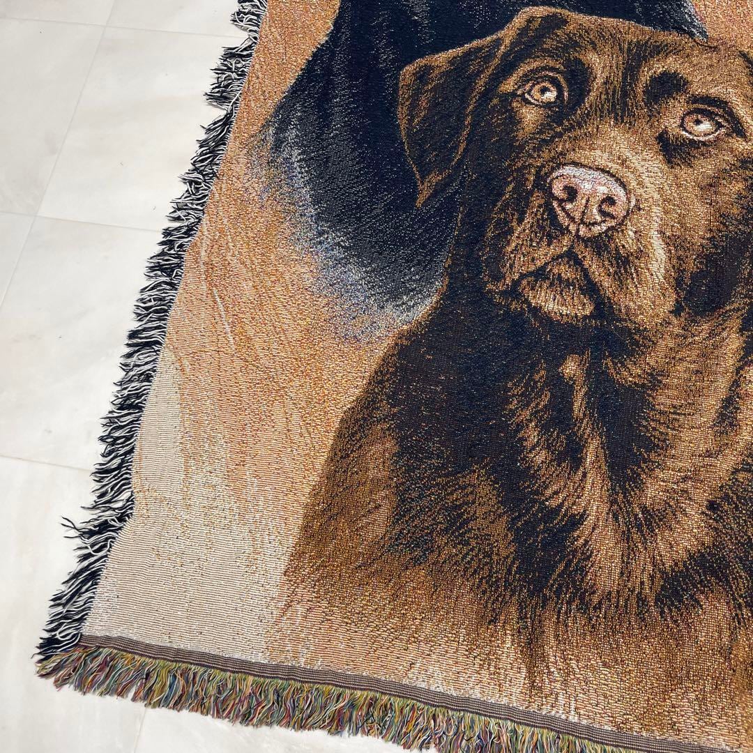 dc03cacdfb3da7590b62bd6e58d1e6