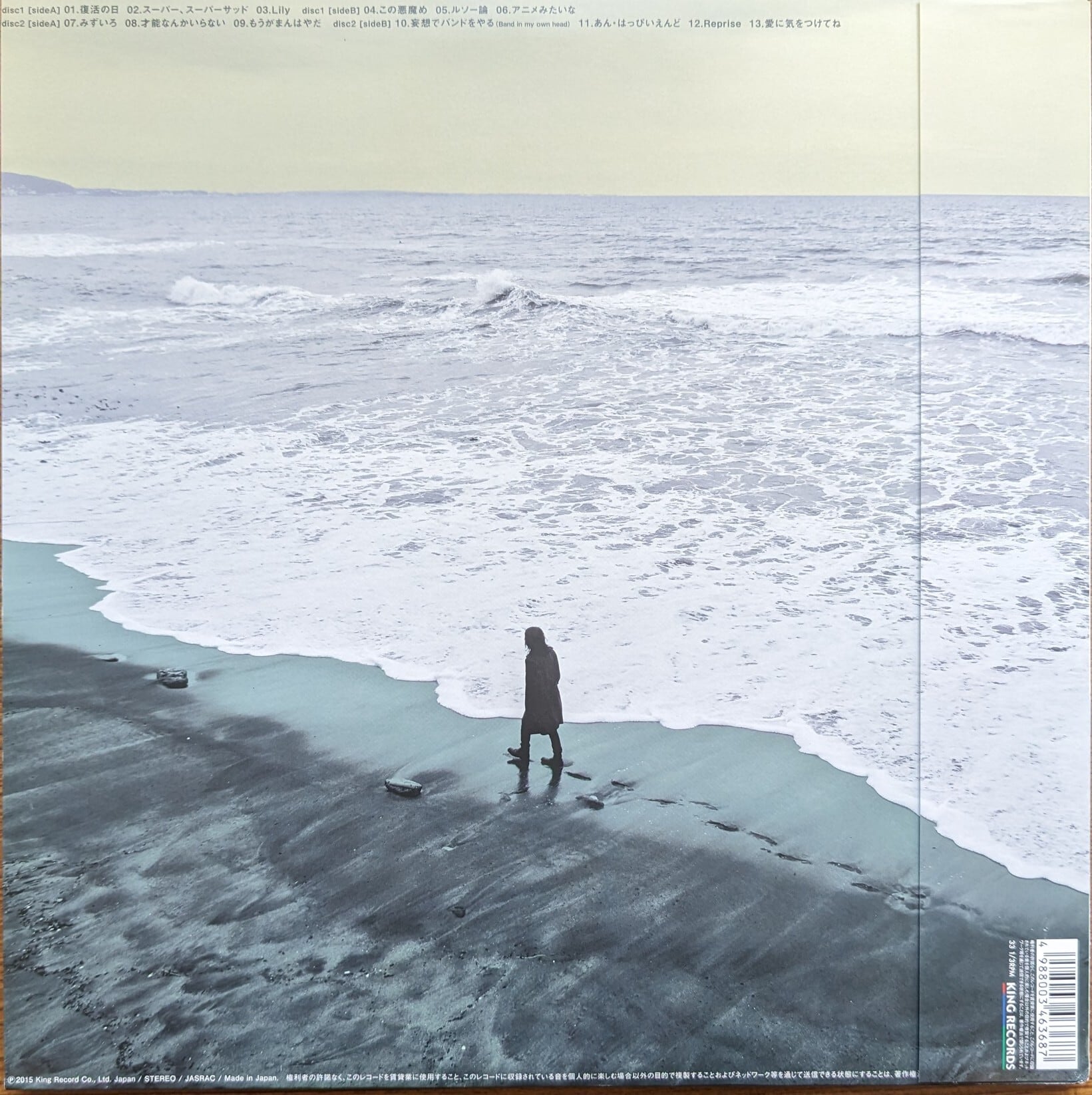 ドレスコーズ「the dresscodes」：LPレコード | 音とこだま