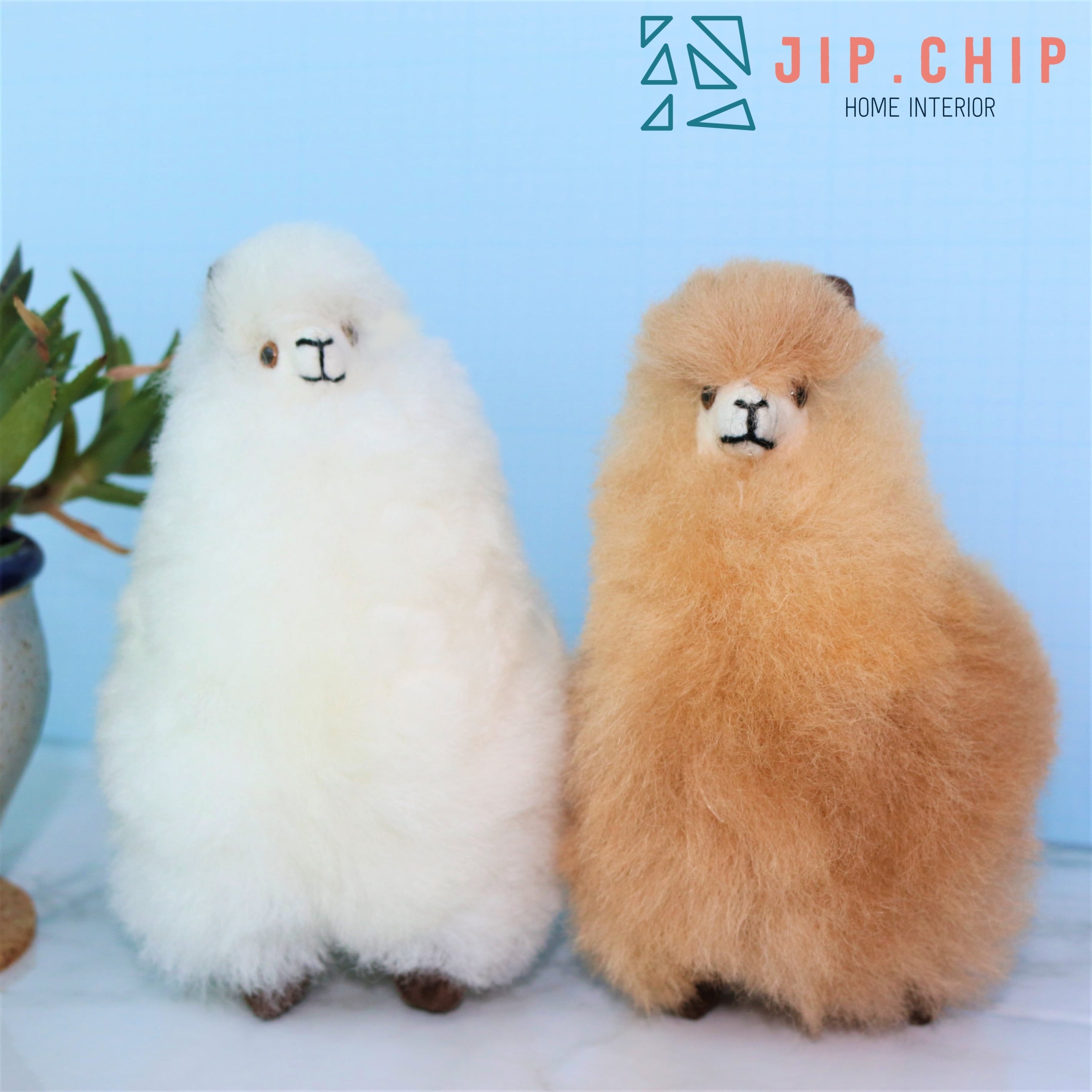 アルパカぬいぐるみ ‐S‐ | jipchip