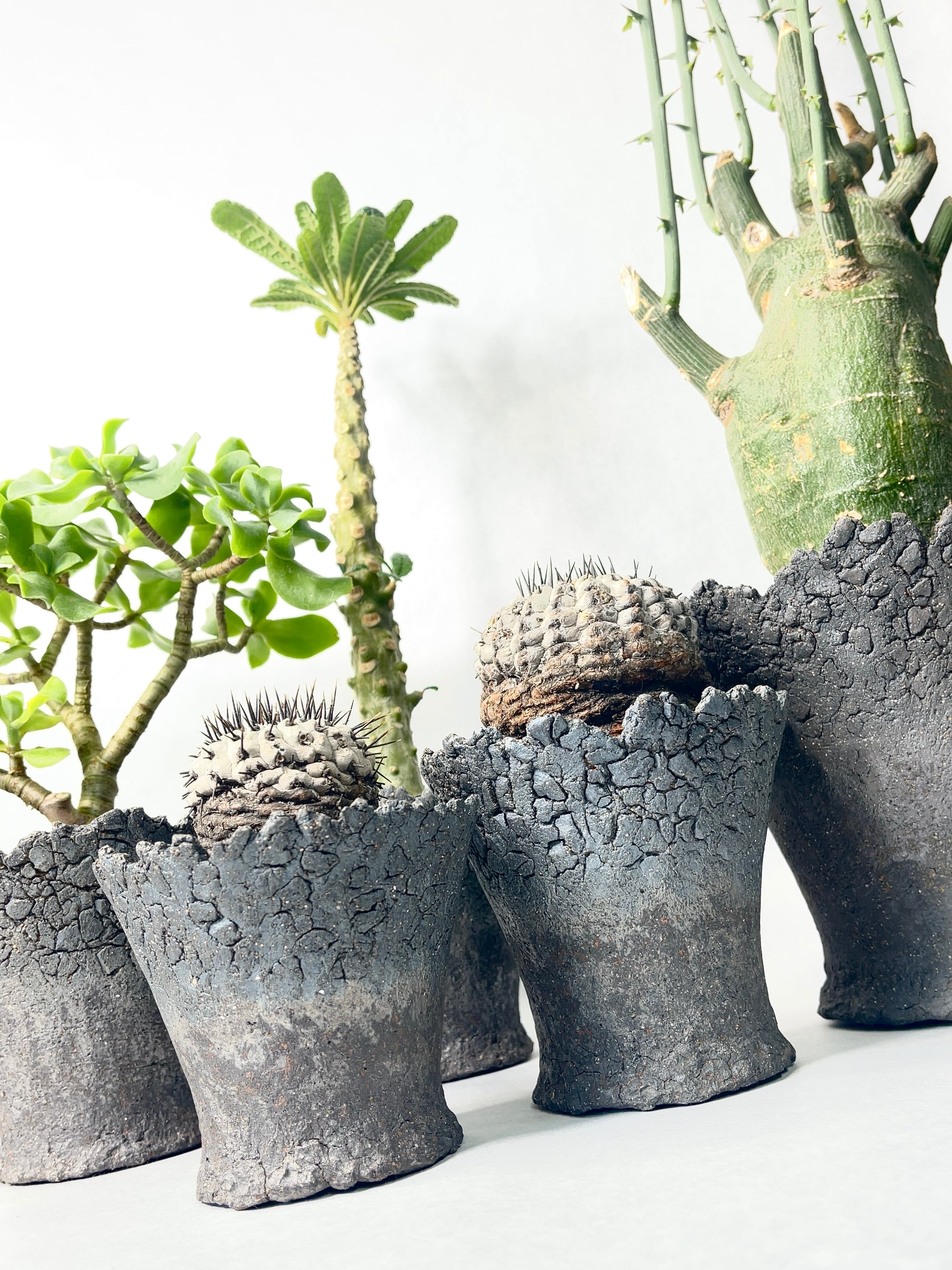 eef0bebcbc4c95afd67e11adeab3e0