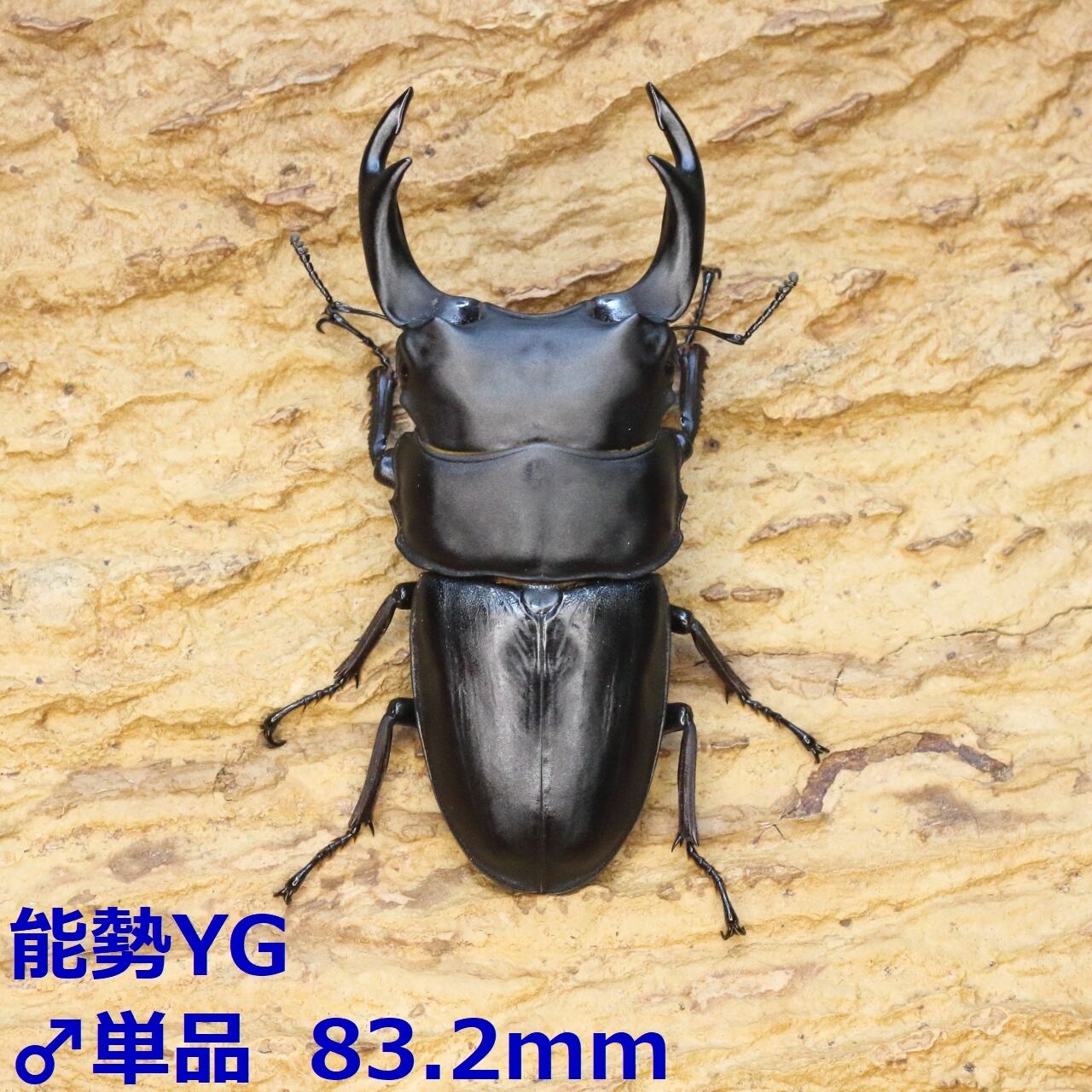 f3fde199e6f105888e9214feb56cd2