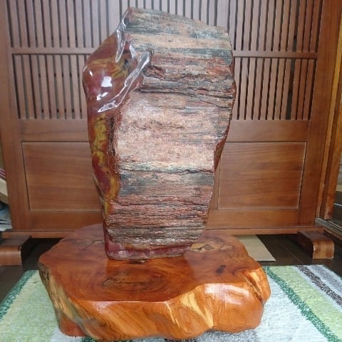 アリゾナ産特大珪化木(木化石) 庭石 鑑賞石 盆石 水石 盆栽 灯籠 造園