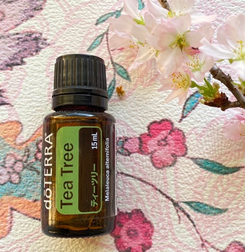 ドテラ ティーツリー エッセンシャルオイル メディカルオイル 15ml