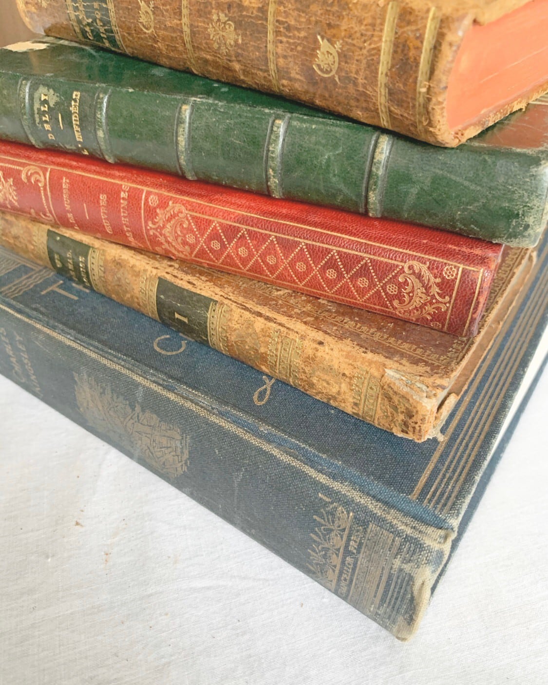 フランス アンティーク洋書 ベージュ | LAND-ANTIQUE