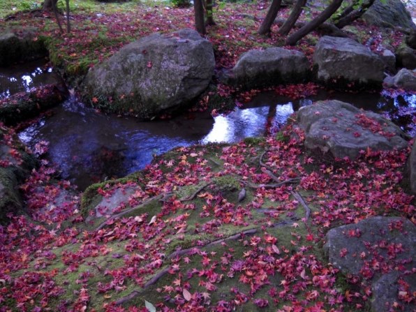 ニコン COOLPIX L20投稿画像・動画 - 価格.com