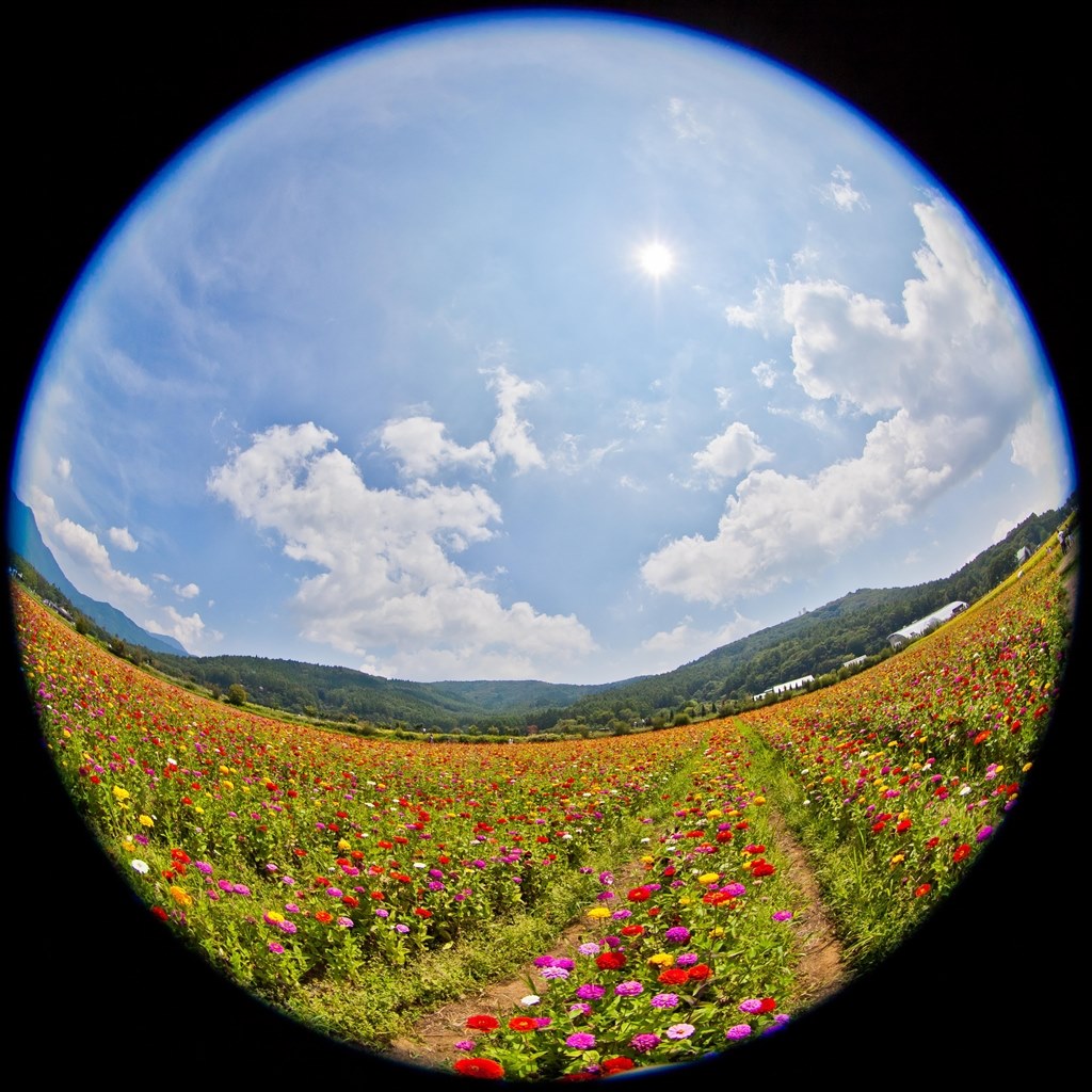 これは何でしょう？』 CANON EF8-15mm F4L フィッシュアイ USM の