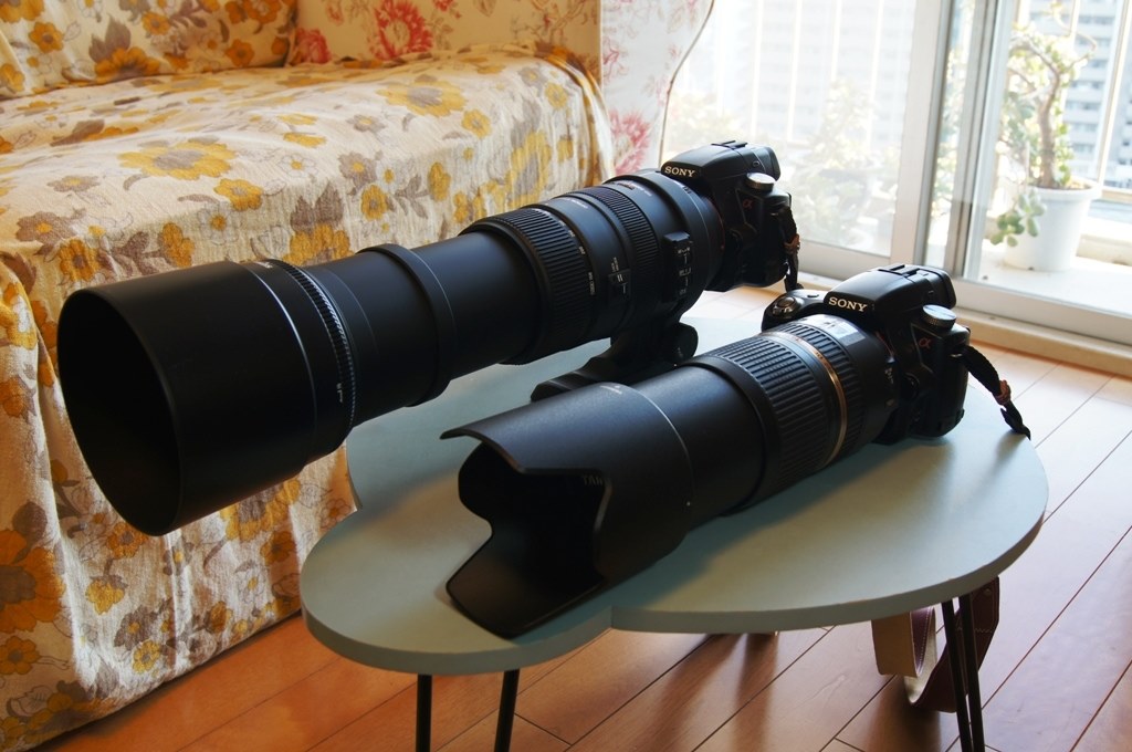 買っちゃいました！』 シグマ APO 150-500mm F5-6.3 DG OS HSM (ソニー