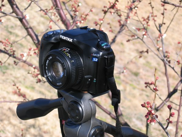 CANON IXY DIGITAL 500で撮影された写真 - 価格.com