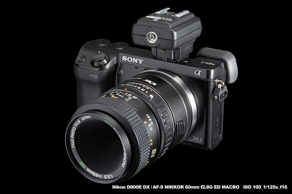 NEX-7 に、外部大型ストロボで撮影したみました。』 SONY α NEX-7K