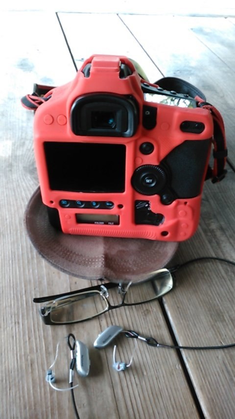 センサー交換済み』 CANON EOS 5D Mark IV ボディ のクチコミ掲示板