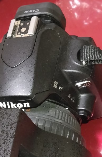 ニコン D40 レンズキット投稿画像・動画 - 価格.com