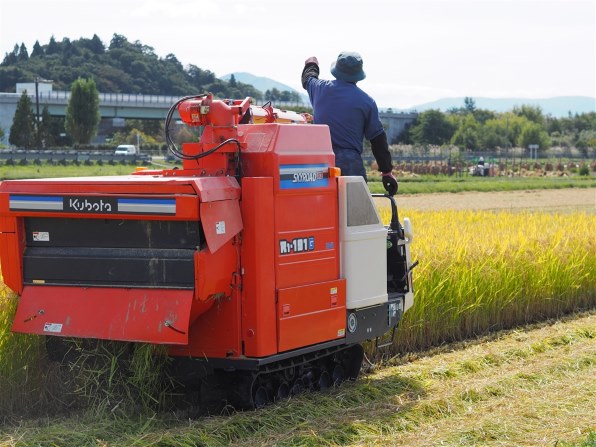 オリンパス OLYMPUS PEN Lite E-PL7 EZダブルズームキットで撮影された