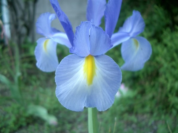 カシオ EXILIM ZOOM EX-Z3で撮影された写真 - 価格.com