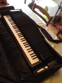 KORG microPIANO RD [レッド] 価格比較 - 価格.com