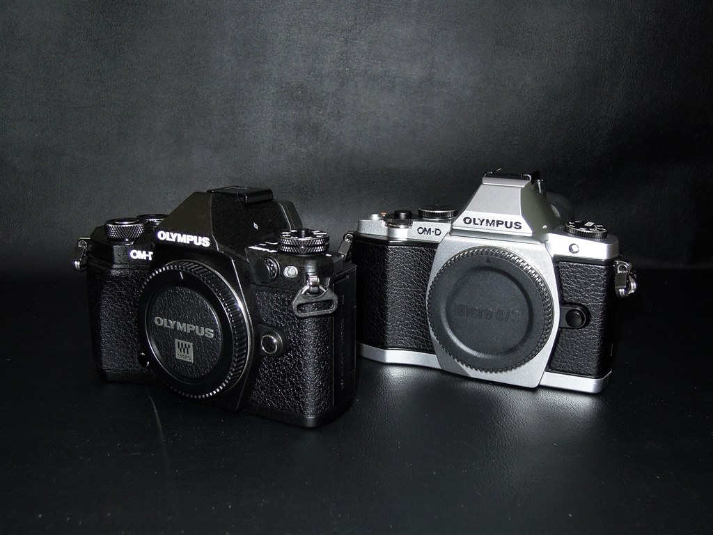 シルバーかブラックか？』 オリンパス OLYMPUS OM-D E-M5 Mark II 14