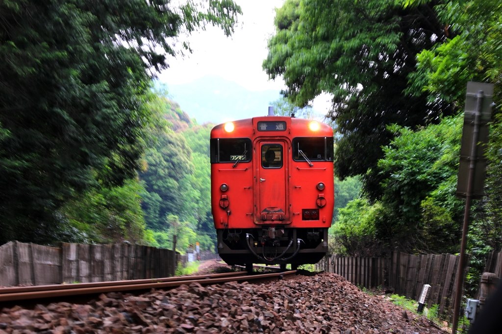 望遠レンズの購入』 CANON EOS Kiss X7 ダブルレンズキット 2 の