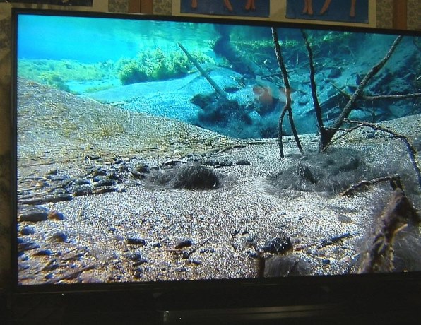 パナソニック VIERA TH-58AX800F [58インチ] 価格比較 - 価格.com