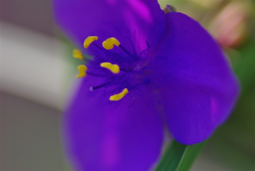 うっかりしていました。CCD最終機はK-mだったのですね