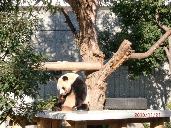 カシオ EXILIM ZOOM EX-Z270で撮影された写真 - 価格.com