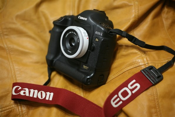 CANON EOS-1Ds Mark II ボディ投稿画像・動画 - 価格.com