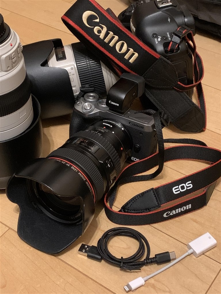 やっぱりカメラはファインダー！』 CANON EOS M6 Mark II ボディ の