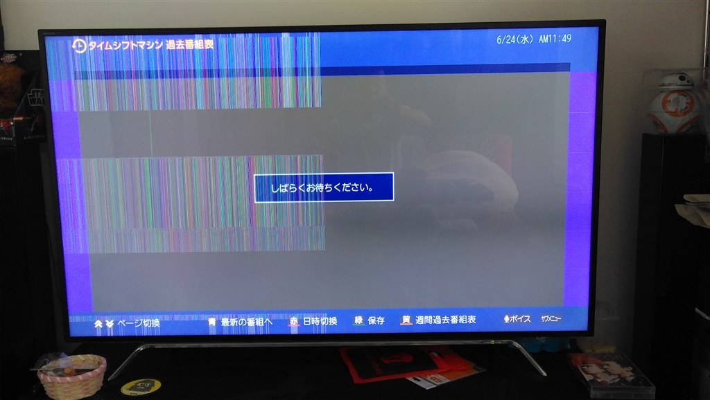 画面に縦線が入るようになりました。』 東芝 REGZA 58Z20X [58インチ