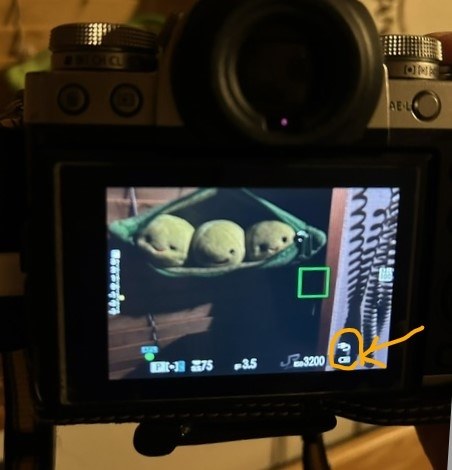 富士フイルム FUJIFILM X-T3 ボディ [ブラック]投稿画像・動画 - 価格.com