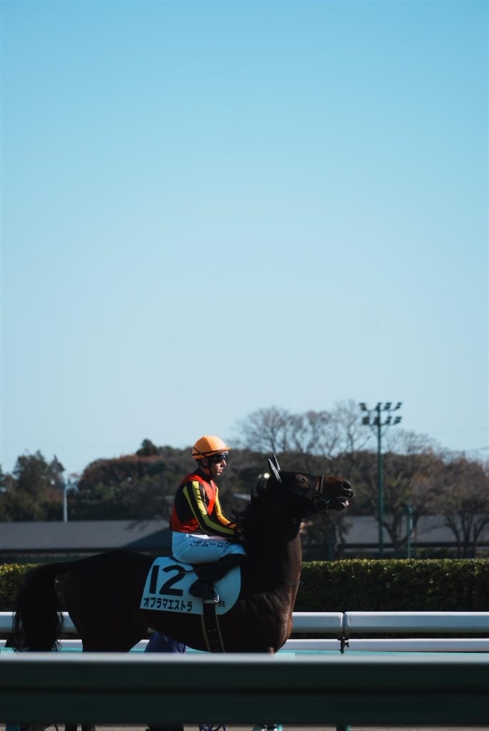 写真のピントについて』 SONY E 70-350mm F4.5-6.3 G OSS SEL70350G の