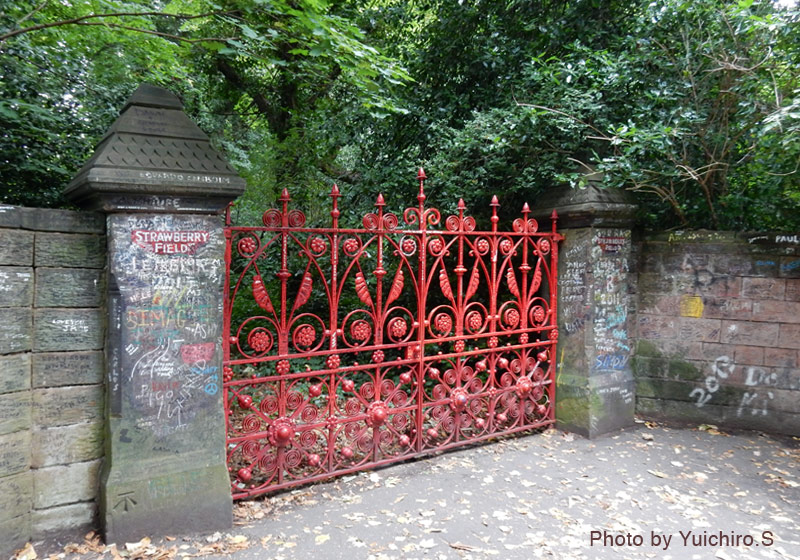 ストロベリー・フィールド | 15 Field